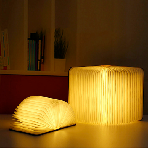 Zelunox LED Book Night Light