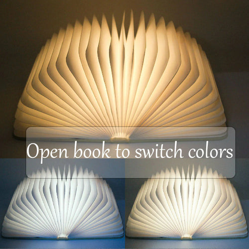 Zelunox LED Book Night Light