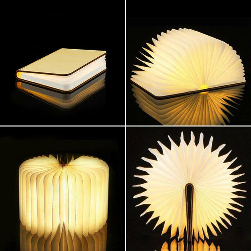 Zelunox LED Book Night Light